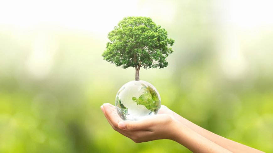 Plantem árvores para salvar o planeta terra